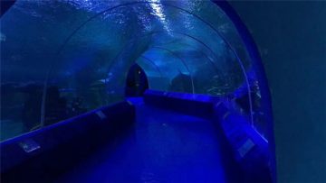 Panouri acrilice de 180 sau 90 de grade pentru tunelul pentru acvariu