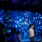 2018 sticlă acvariu meduze acvariu rezervor