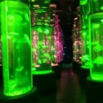 2018 furnizor de rezervor de meduze acrilice