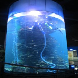 rezervor acrilic cilindru mare de pește pentru acvariu sau parc de ocean
