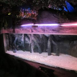 Fereastră / fereastră acrilică pentru piscină subacvatică