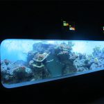 Artificială Cast acril Cilindric Acvariu transparent pește / fereastră de vedere