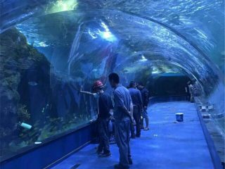 Proiect oceanarium tunel acrilic în acvariu public